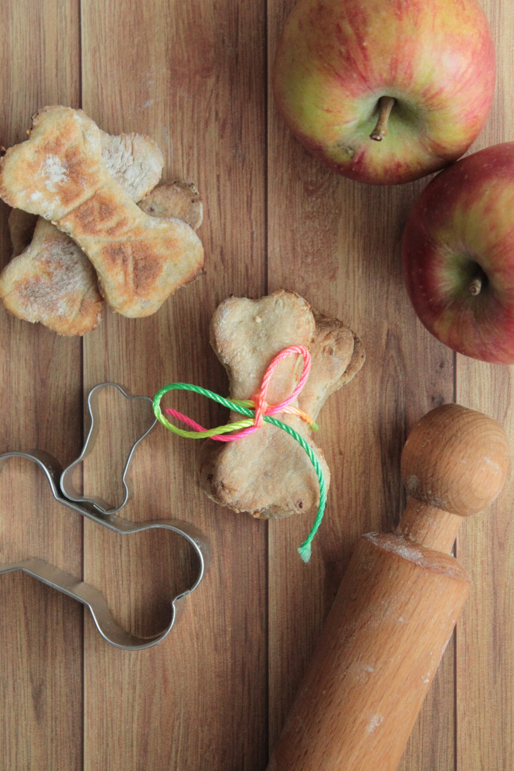 biscotti per cani