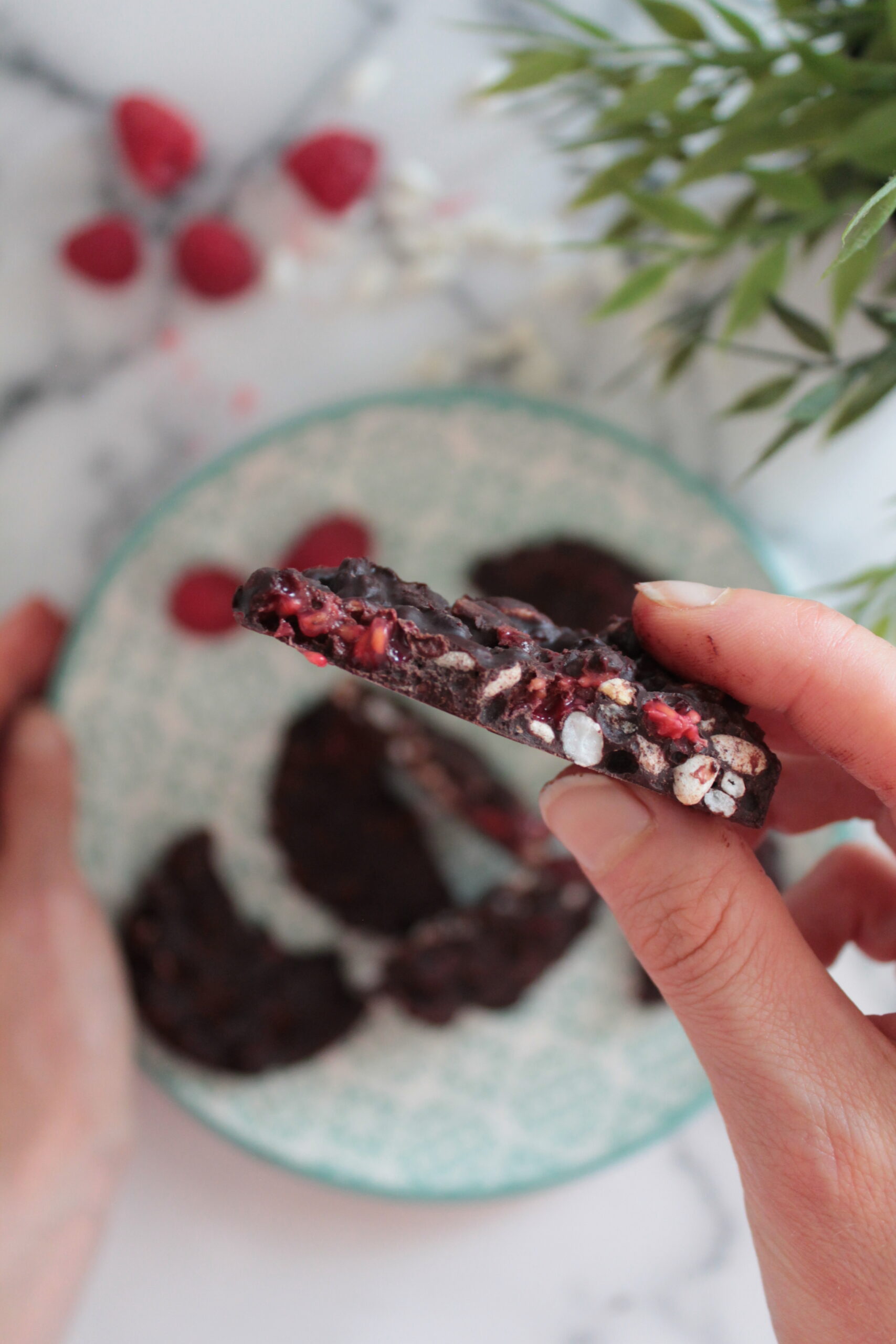 blocchi riso soffiato, cioccolato e lamponi