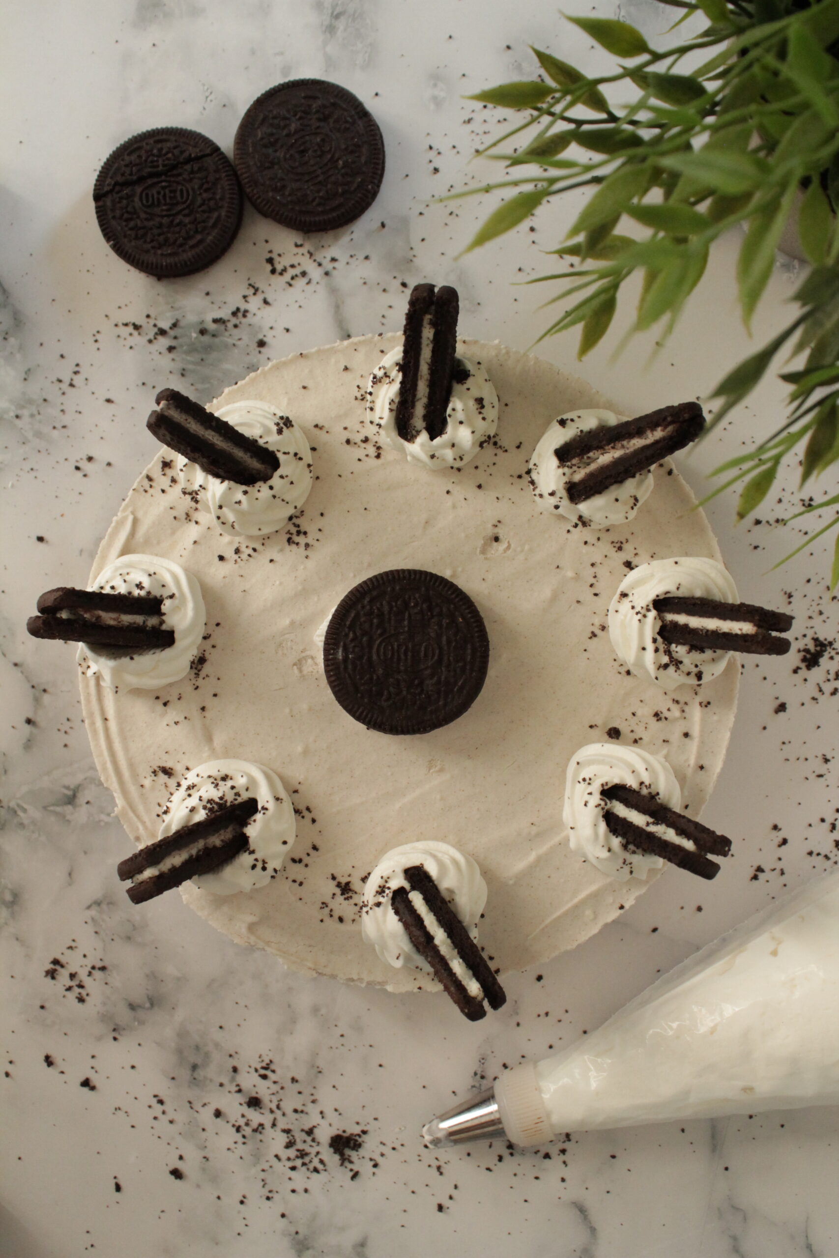 Oreo cheesecake